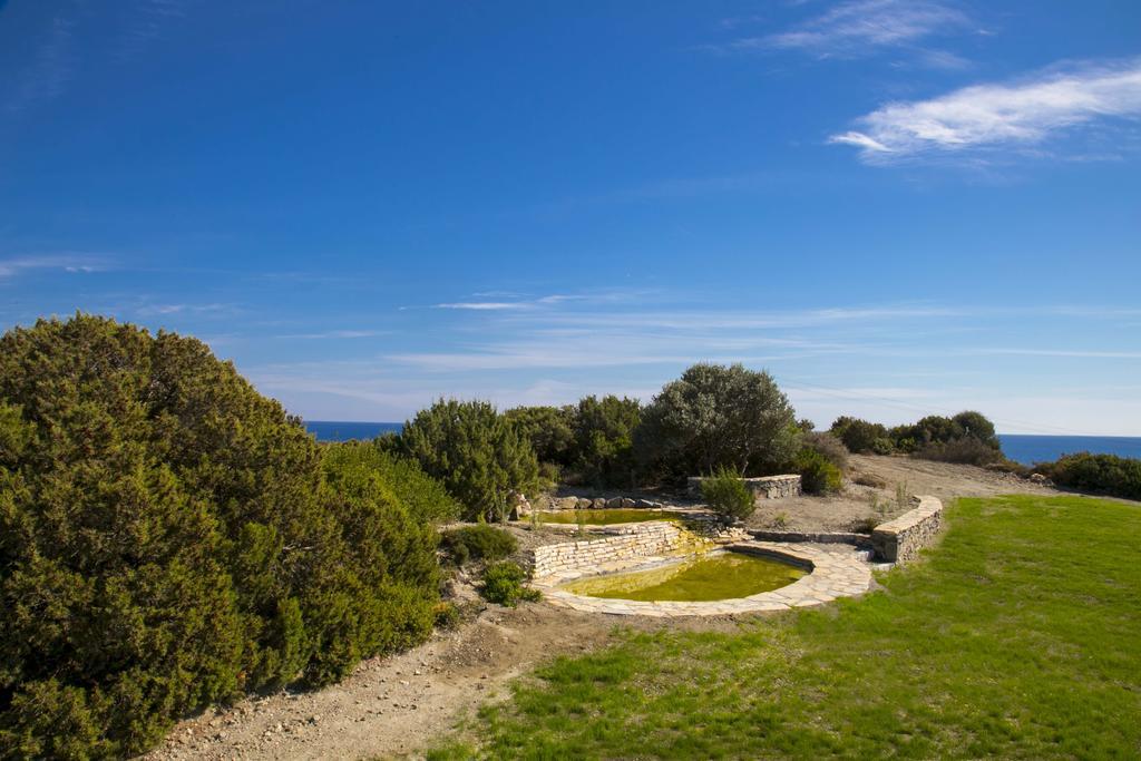 Aparthotel Ekaterini Kiotari